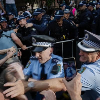 'Punched him in the head': watchdog gets police footage