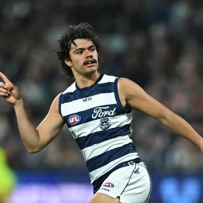 Dashing Cat ready for unfamiliar do-or-die Blues final