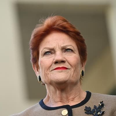'Economically disastrous': Hanson's super policy panned