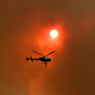 Fires, heat and looming El Niño menace east coast