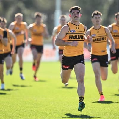 AFL introduce training limits over concussion concerns