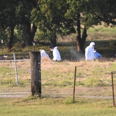 Man and woman dead after plane crashes, sparks fire