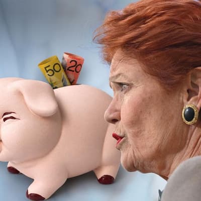 One Nation rejects need to model proposed super changes