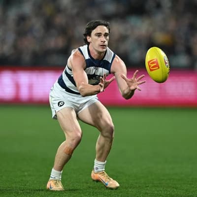 Cats star continues push for concussion answers