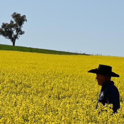 Farmers demand fair go in fight with fossil fuel giants