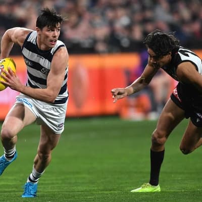 How Cats' spark got himself back on track