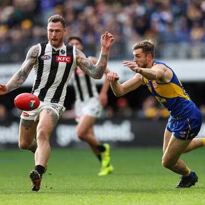 Experienced forward signs on with Collingwood