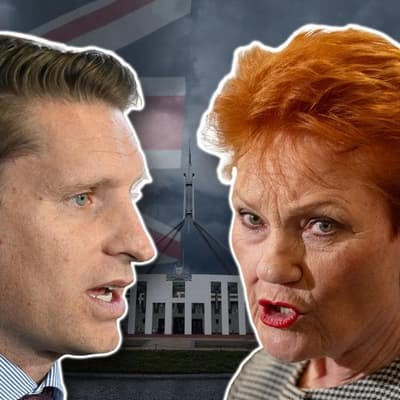 'Despicable': parties unite against One Nation attack