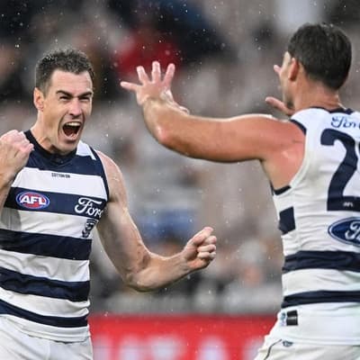 How Cats great would get the most out of hobbled star