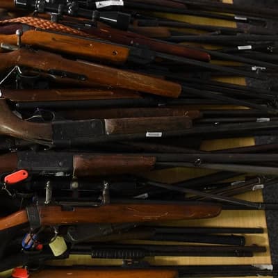 Police-backed gun cap rejected in parliamentary vote