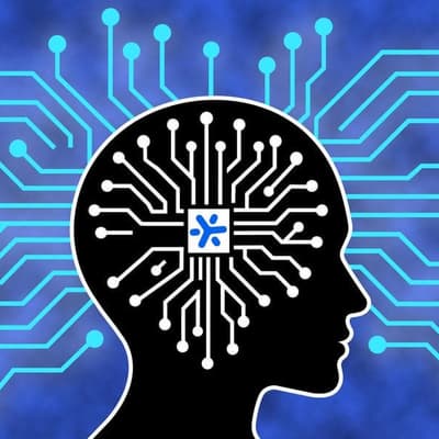 Australian tech: the AI chip mimicking the human brain