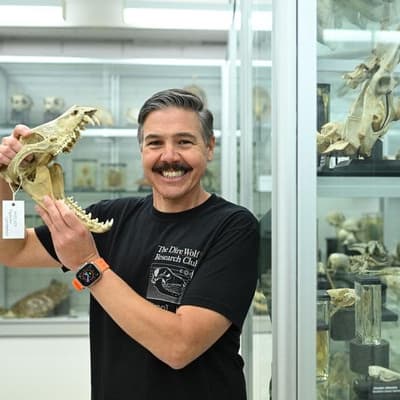 Science on verge of catching a tiger by the gene trail