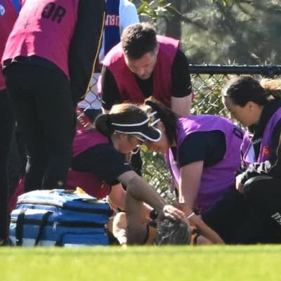Hawthorn win soured by skipper's sickening knee injury