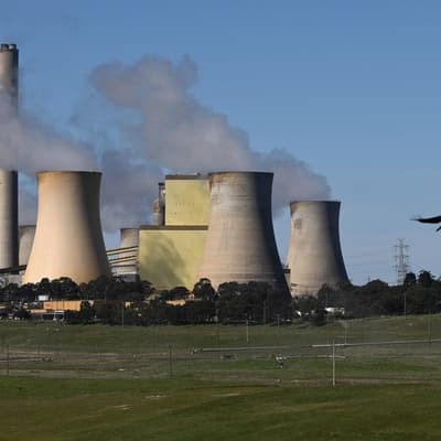 No coal power, no new petrol cars by 2035 for net zero