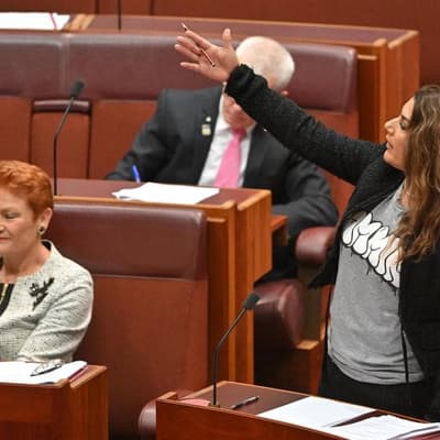 'Most primitive': Hanson blasted for Indigenous slur
