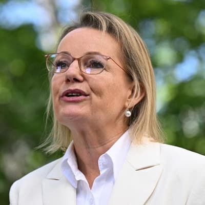 Labor appoints former opposition leader to Snowy Hydro
