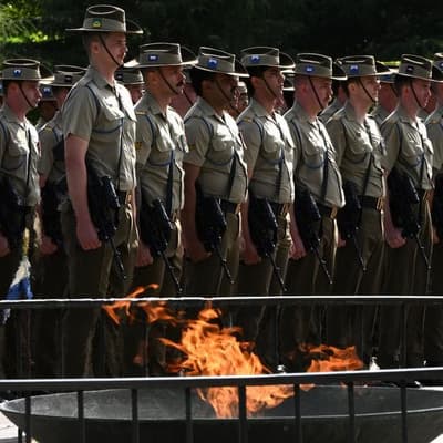 Military hits 25-year high as recruits boost numbers