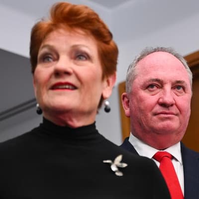 Hanson gets '10/10' for Indigenous apology from own MP