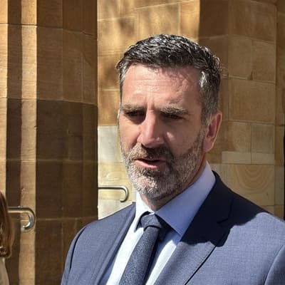 I'm no criminal, claims ex-MP convicted of deception