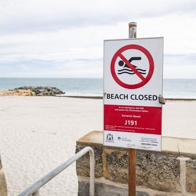 Beaches closed after swimmer killed in shark attack