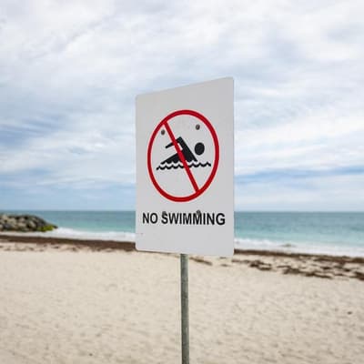 Search for shark and swimmer after fatal attack