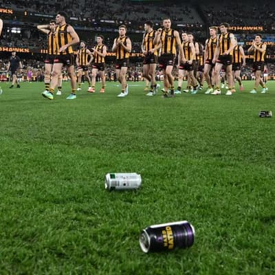 Hawks and their fans rage after devastating AFL loss