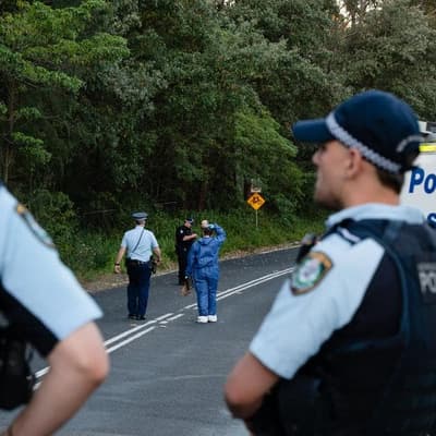 'Barbaric': police condemn spate of alleged DV murders