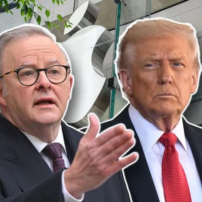 Albanese to advocate AI slowdown calls to Trump at UN