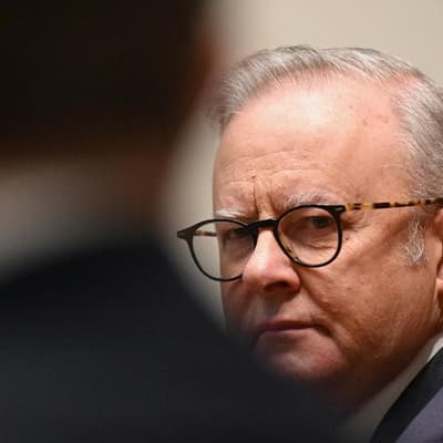 Record-low poll puts Labor attack dogs on offensive