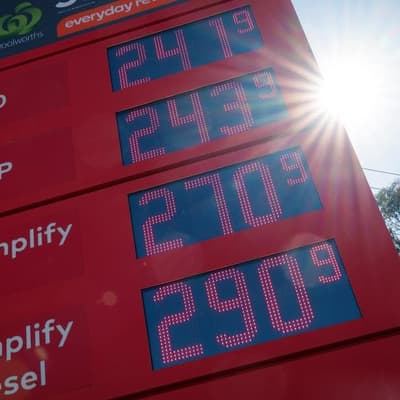 Proposed fuel 'shield' slammed, no tax cut on horizon