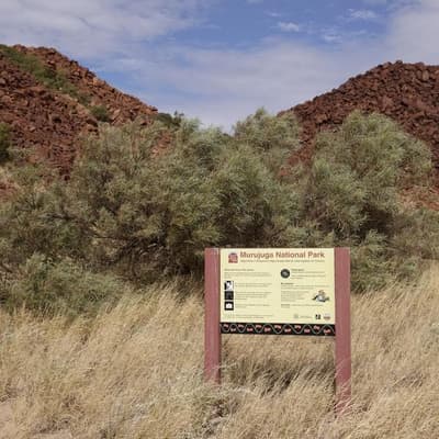 Rock art damage complaint goes to UN rights council