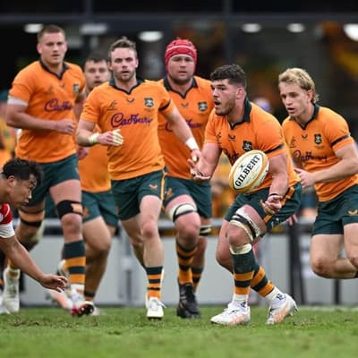 Wallabies eye Springboks scalp amid Flagmantle frenzy