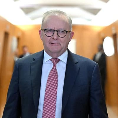 Australia urges slowdown of AI race in global statement