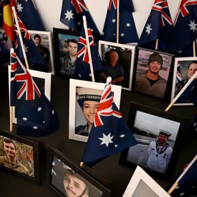 Falling veteran suicide rates remain far above average