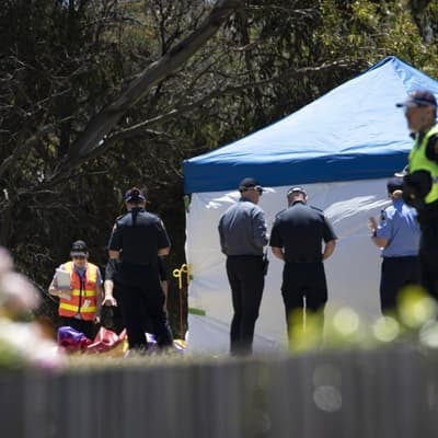 'Chaos, confusion': cop recalls jumping castle tragedy