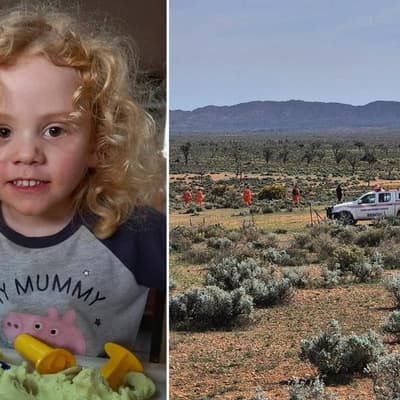 'Bring him home': $1m reward plea for missing boy Gus