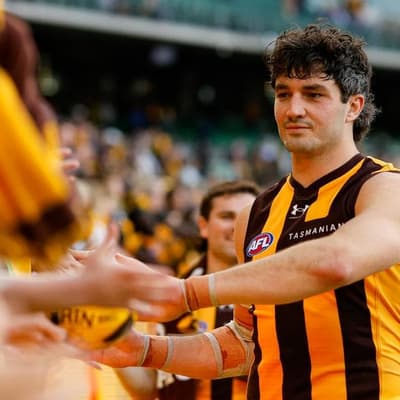 AFL umpire felt 'threatened, intimidated' by Hawks duo