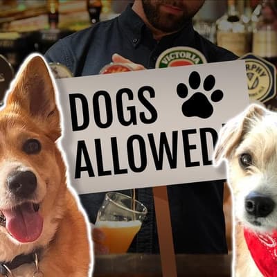 Pubs to go to the dogs in premier's pre-election pitch