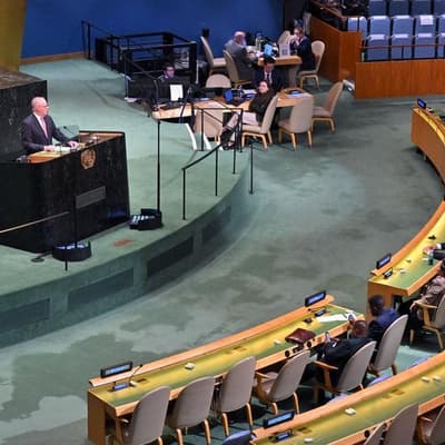 'Only do it together': PM's call to arms to UN leaders