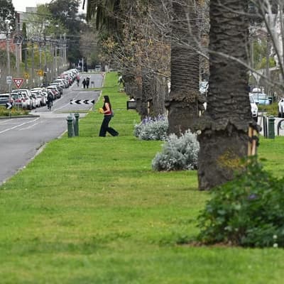 'Unbanned': premier weighs in on contentious picnic row
