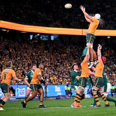 Wallabies suffer injury blow ahead of Springboks battle