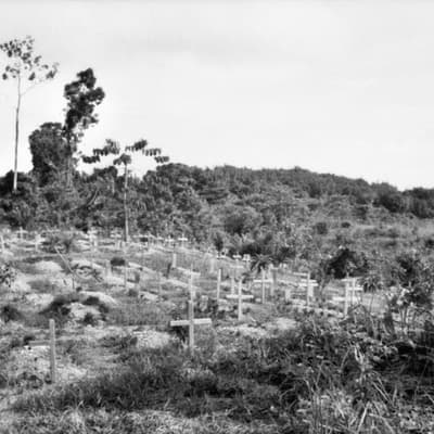 The rescue bid bungles that cost Australian PoW lives