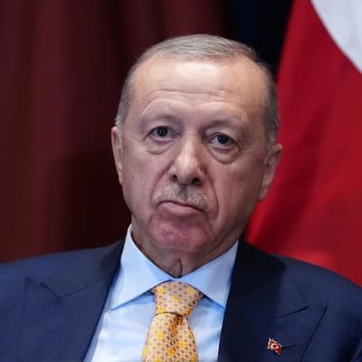 Comedian convicted of insulting Turkish president