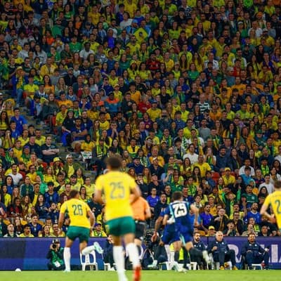 How 'half decent' Socceroos have caught our attention