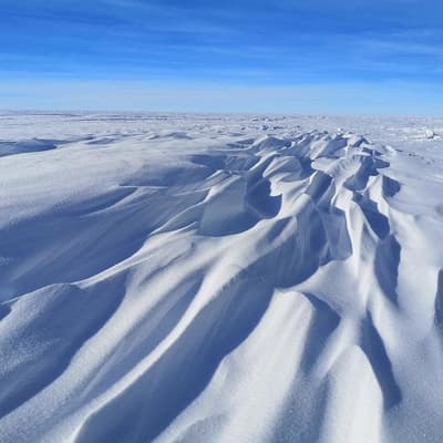 Antarctic blind spot emerges as major sea-level threat