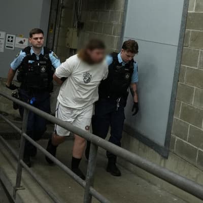 Man charged over random sex assault of woman in park