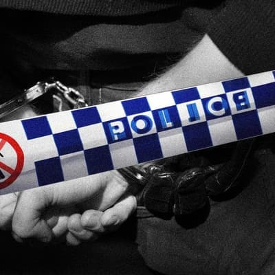 Violent trio planned third attack on lone women: police