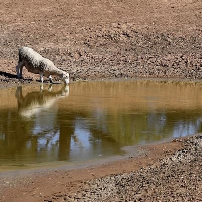 Warning El Nino could wipe $13b from Australian economy