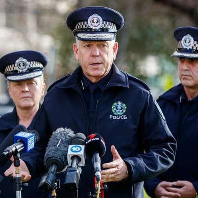 Police commissioner handpicked as King's representative