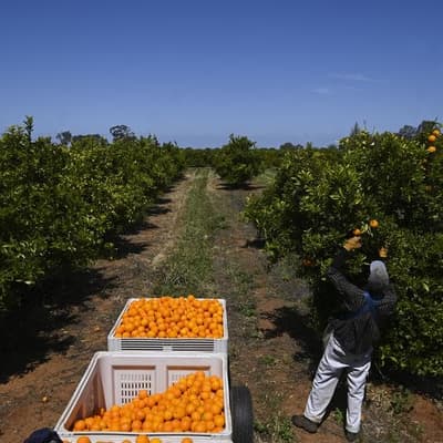 Costs and labour shortage a double blow for regions